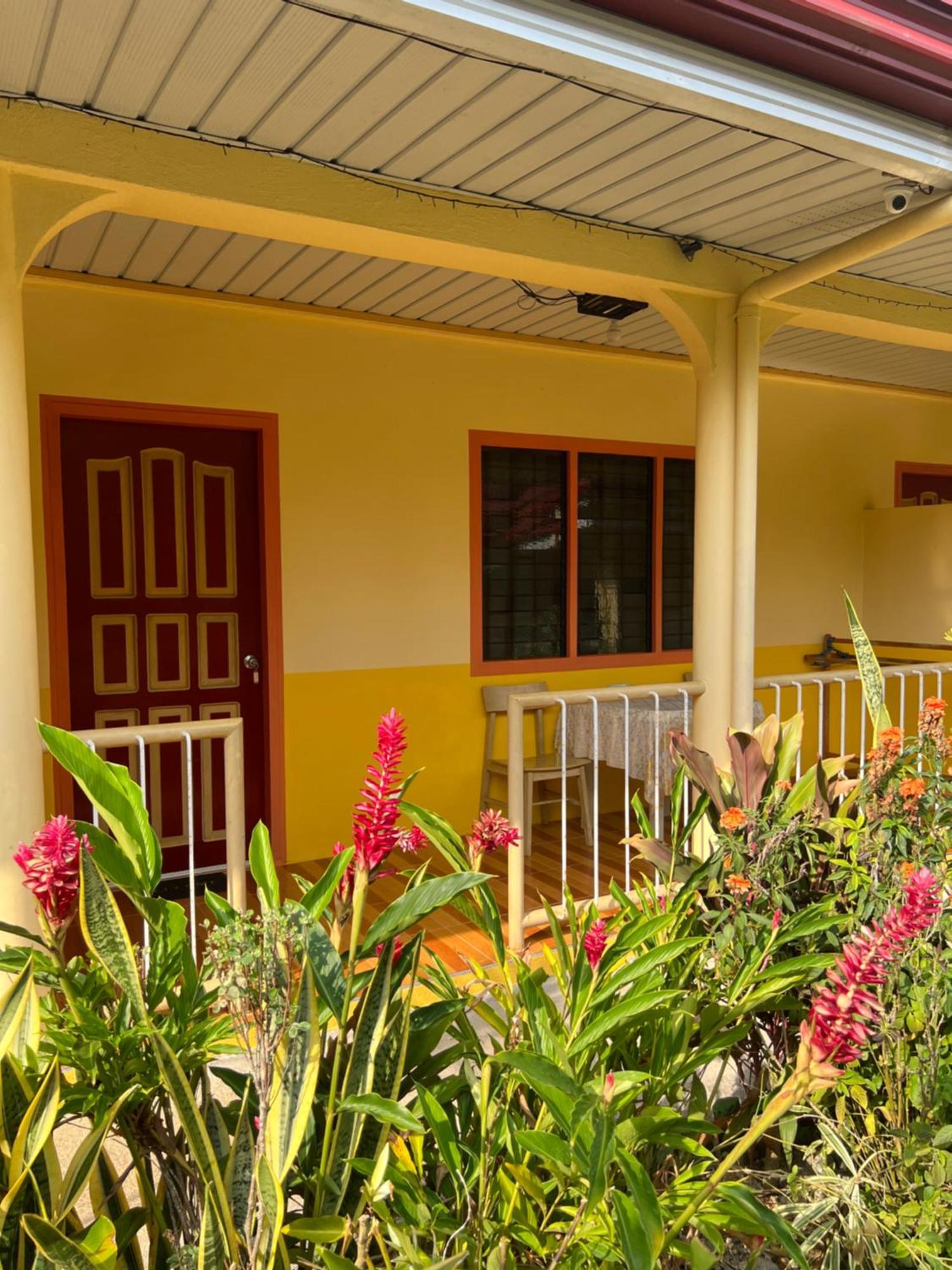 Uptown Guesthouse 锡基霍尔 客房 照片